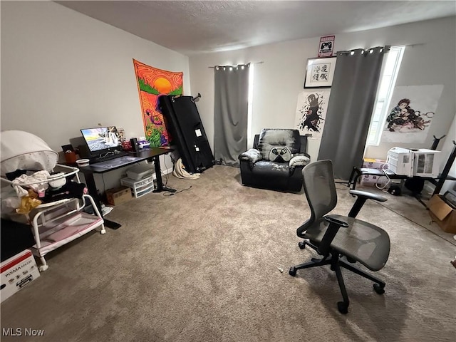 845 S Liberty Ave, Alliance, OH 44601 - home office featuring carpet