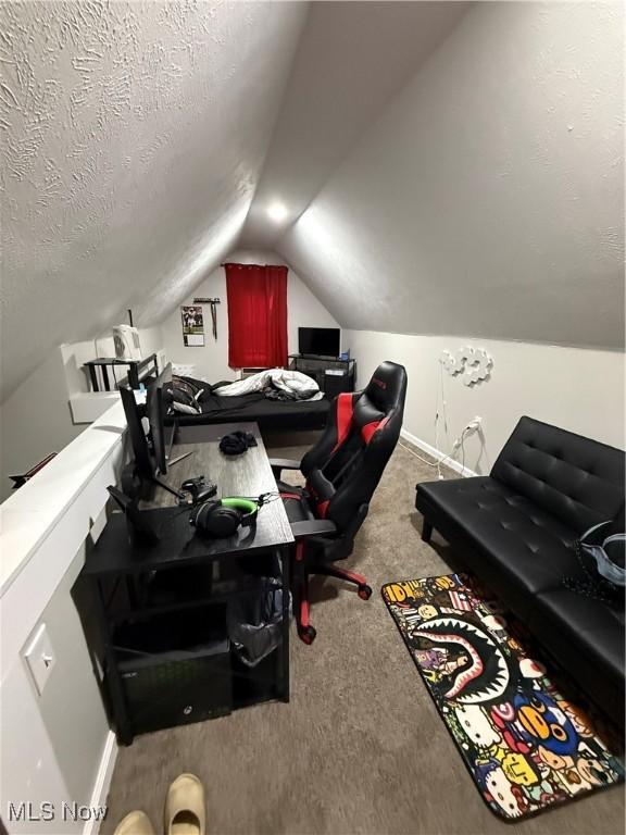 930 E Grant St, Alliance, OH 44601 - carpeted home office with lofted ceiling, a textured ceiling, and baseboards