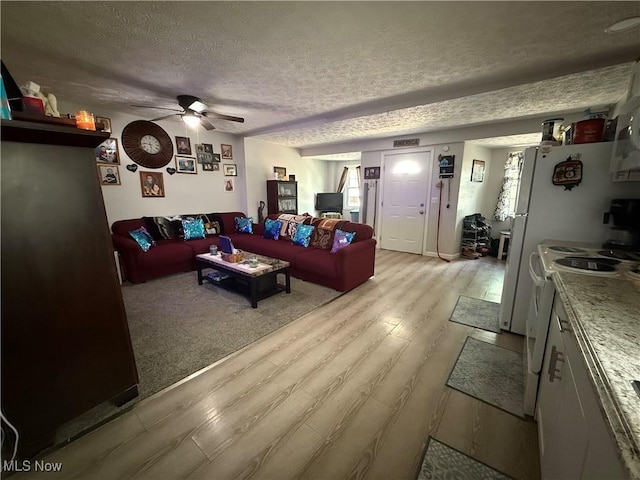 939 S Arch Ave, Alliance, OH 44601 - living area featuring light wood-style floors, ceiling fan, a textured ceiling, and plenty of natural light