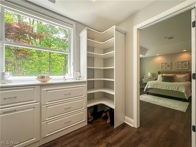 6836 Twin Oaks Ct, Canfield, OH 44406 - view of pantry