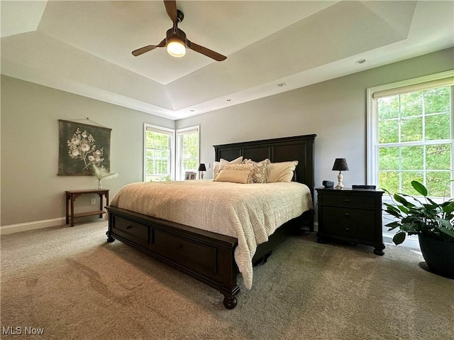 6836 Twin Oaks Ct, Canfield, OH 44406 - bedroom featuring a tray ceiling, carpet floors, baseboards, and ceiling fan