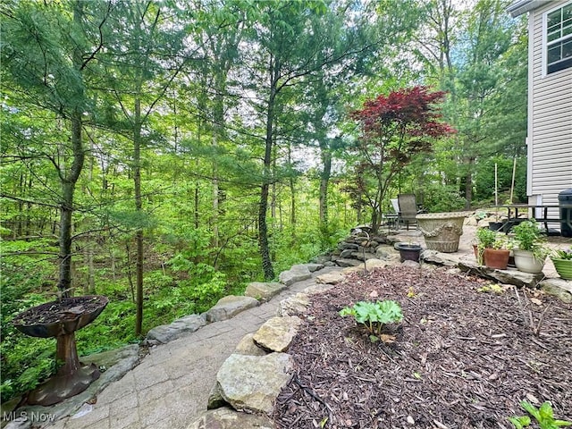 6836 Twin Oaks Ct, Canfield, OH 44406 - view of yard featuring a patio and a view of trees