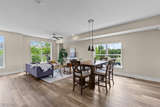 2087 Wynn Rd, Cleveland, OH 44118 - dining room featuring wood finished floors, plenty of natural light, and baseboards