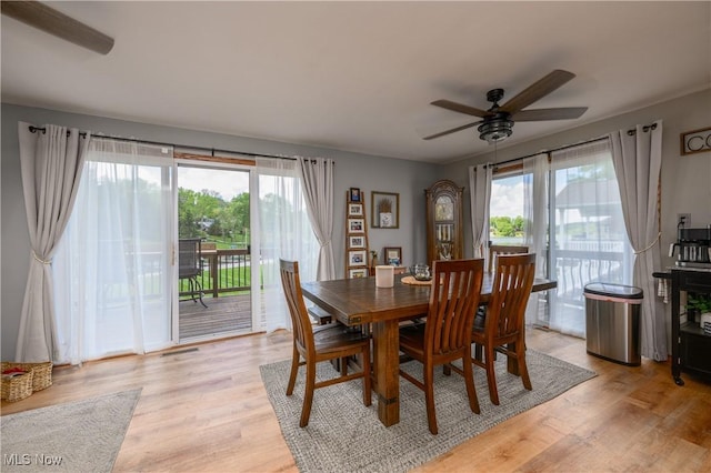 272 Cheyenne Trl, Malvern, OH 44644 - dining area featuring ceiling fan and light wood finished floors