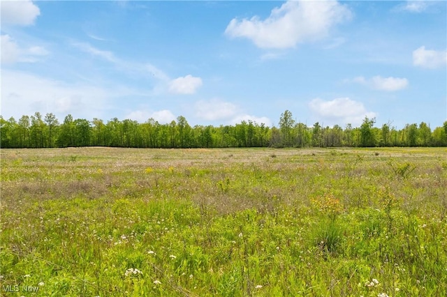 Kennard Rd, Lodi, OH 44254 - photo 5