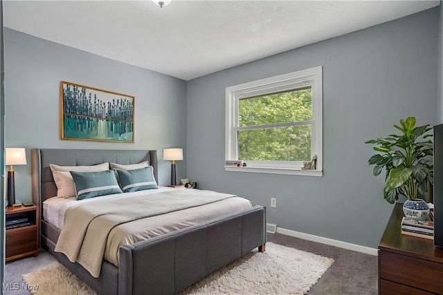 10699 Whippoorwill Rd, Newton Falls, OH 44412 - carpeted bedroom featuring baseboards