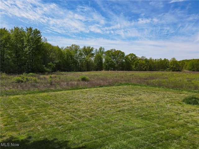 view of yard with a view of trees