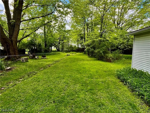 2508 Queenston Rd, Cleveland Heights, OH 44118 - view of green lawn