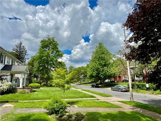 2508 Queenston Rd, Cleveland Heights, OH 44118 - view of green lawn