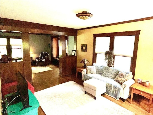 2508 Queenston Rd, Cleveland Heights, OH 44118 - living area featuring plenty of natural light and wood finished floors