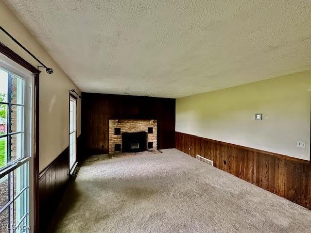 13053 Sarbaugh St SW, Navarre, OH 44662 - unfurnished living room with wooden walls, a textured ceiling, carpet floors, a fireplace, and a wainscoted wall