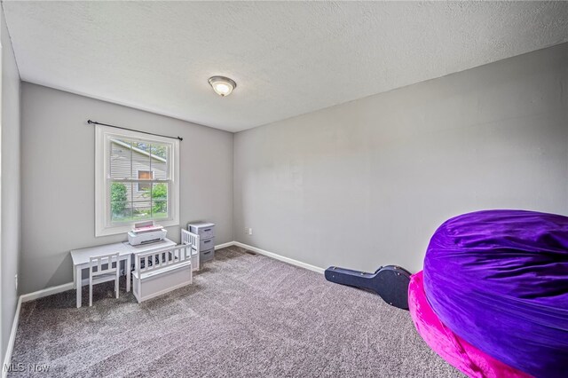 4946 Ireland Rd, Rome, OH 44085 - miscellaneous room featuring carpet, a textured ceiling, and baseboards