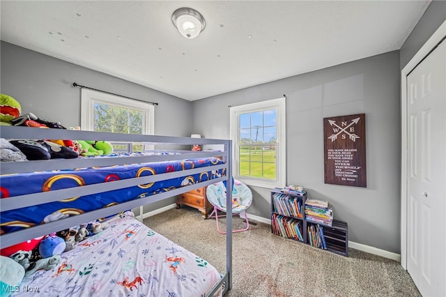 4946 Ireland Rd, Rome, OH 44085 - bedroom with carpet, multiple windows, and baseboards