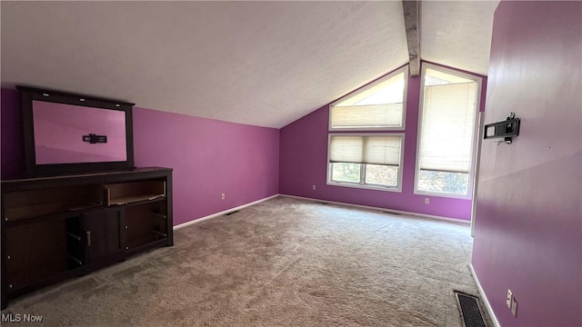 250 Laurel Cir Unit 13, Aurora, OH 44202 - bonus room with carpet floors and baseboards