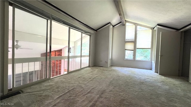 250 Laurel Cir Unit 13, Aurora, OH 44202 - spare room featuring carpet and ceiling fan