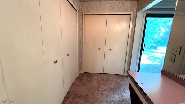 250 Laurel Cir Unit 13, Aurora, OH 44202 - corridor with carpet flooring and healthy amount of natural light