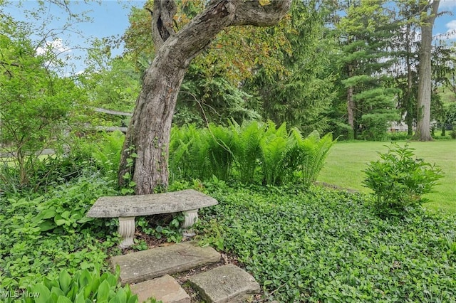 view of green lawn