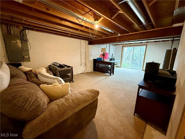 36 Choctaw Trl, Malvern, OH 44644 - basement featuring electric panel and carpet