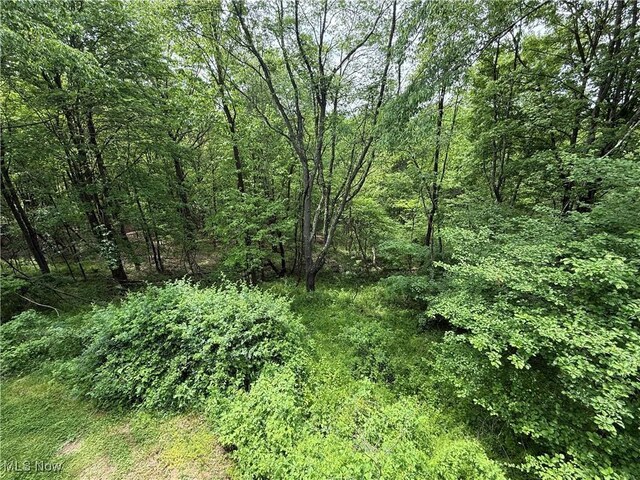 36 Choctaw Trl, Malvern, OH 44644 - view of wooded area