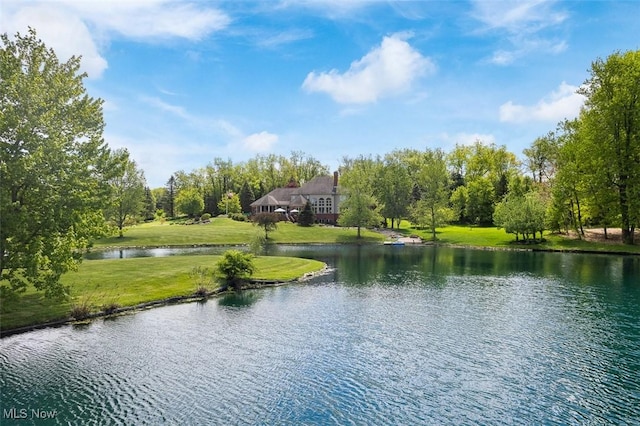 7384 Braucher St NW, North Canton, OH 44720 - water view