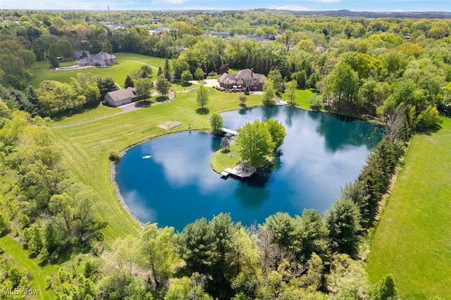 7384 Braucher St NW, North Canton, OH 44720 - bird's eye view of a nearby body of water and a heavily wooded area