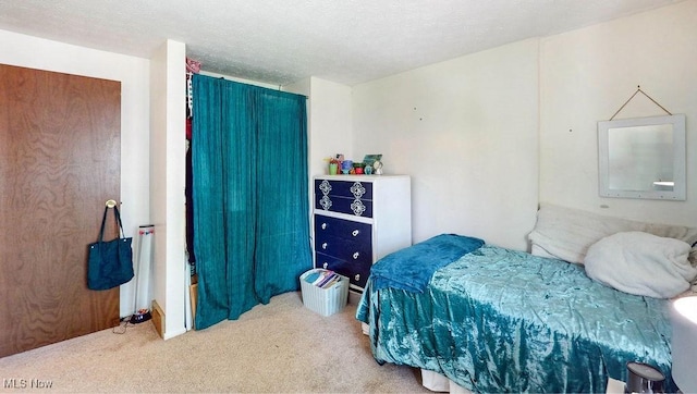 10219 Spinnaker Run, Aurora, OH 44202 - bedroom with carpet floors and a textured ceiling