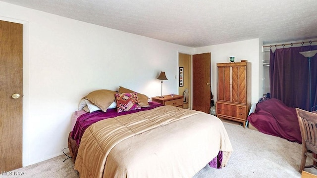 10219 Spinnaker Run, Aurora, OH 44202 - bedroom featuring light colored carpet and a textured ceiling