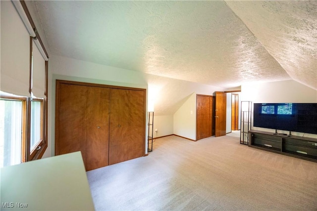 8665 Prescott Dr, Chesterland, OH 44026 - unfurnished bedroom with lofted ceiling, a textured ceiling, and carpet