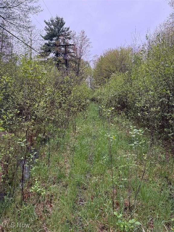 Durst Dr, Cortland, OH 44410