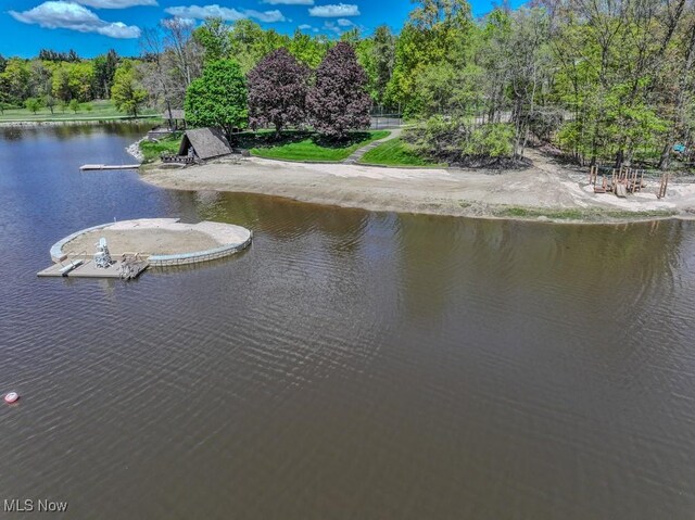 8733 Lake Forest Trl, Chagrin Falls, OH 44023 - photo 40