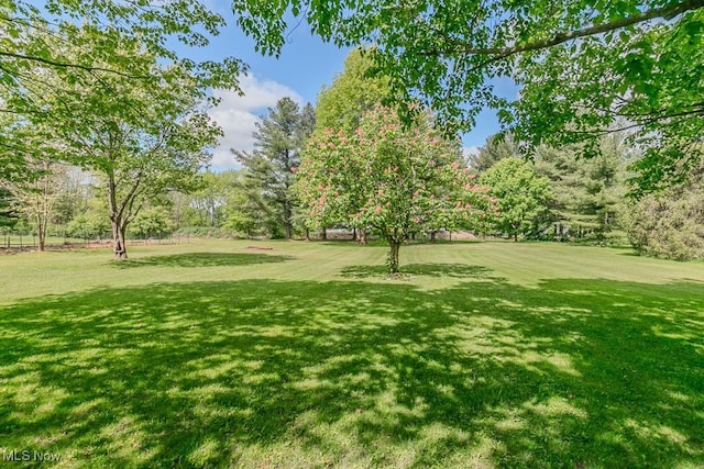 13970 E Willard Rd, Novelty, OH 44072 - view of grassy yard with view of scattered trees
