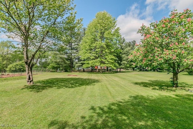 13970 E Willard Rd, Novelty, OH 44072 - view of green lawn with view of wooded area