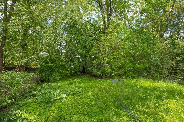 408 Bacon, Akron, OH 44320 - view of nature