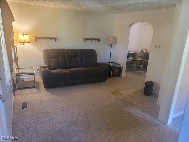 9788 E River Rd, Elyria, OH 44035 - carpeted living room featuring arched walkways and a textured ceiling