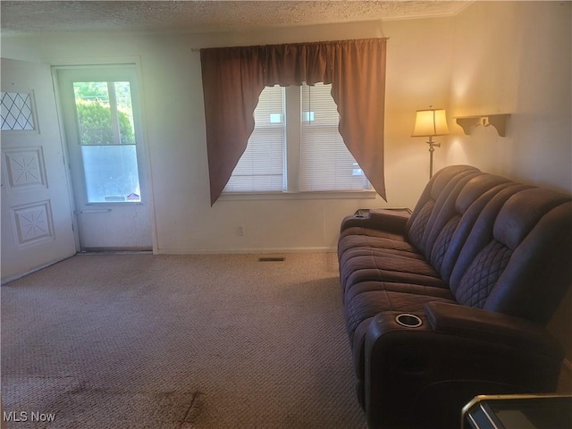 9788 E River Rd, Elyria, OH 44035 - carpeted living room featuring a textured ceiling and baseboards