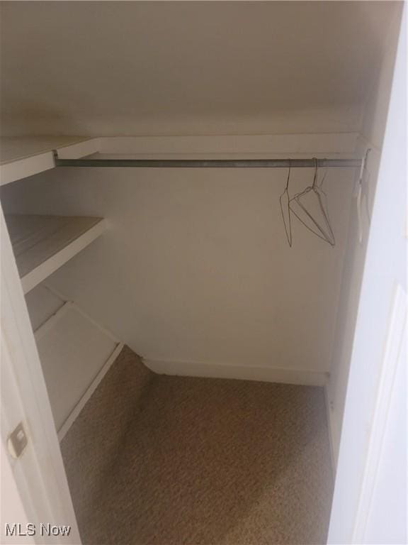 9788 E River Rd, Elyria, OH 44035 - spacious closet with carpet floors