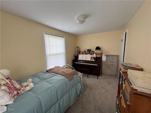 bedroom with carpet floors