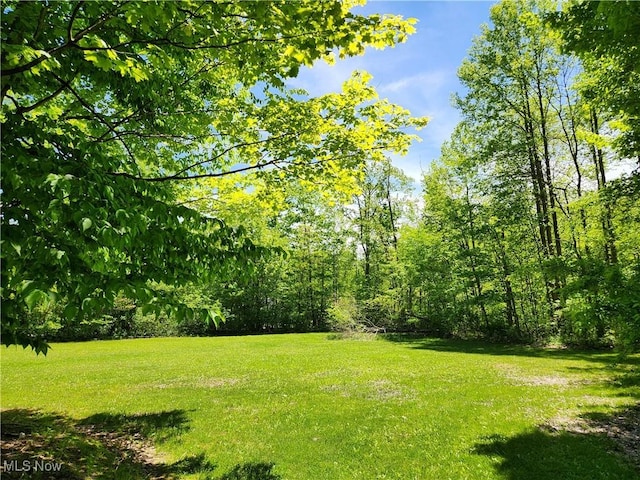 VACANTLAND Brakeman Road, Painesville Township, OH 44077