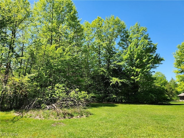 VACANTLAND Brakeman Road, Painesville Township, OH 44077