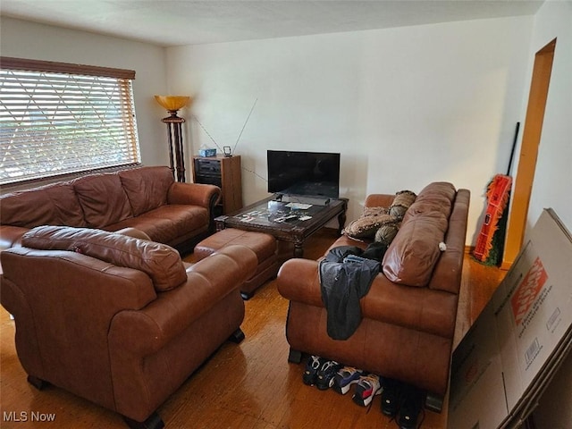 1217 Ada St, Akron, OH 44306 - living room with wood finished floors