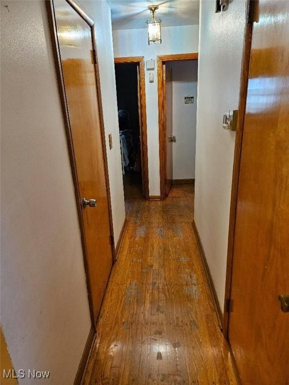1217 Ada St, Akron, OH 44306 - corridor with hardwood / wood-style floors and baseboards