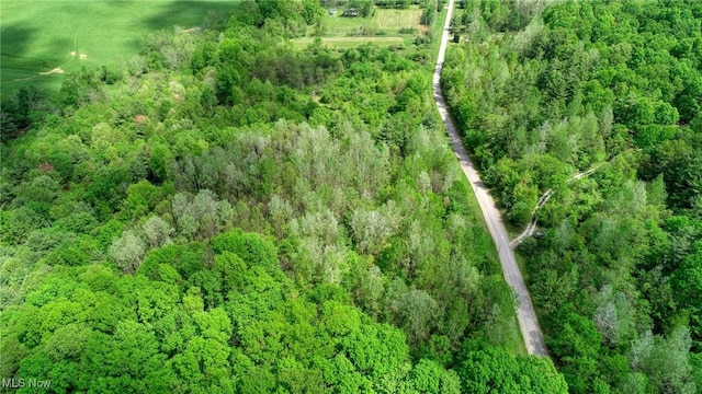 21639 Baptist Rd, Quaker City, OH 43773 - photo 45