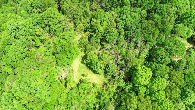 21639 Baptist Rd, Quaker City, OH 43773 - photo 47