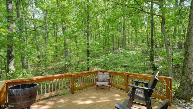 21639 Baptist Rd, Quaker City, OH 43773 - photo 23