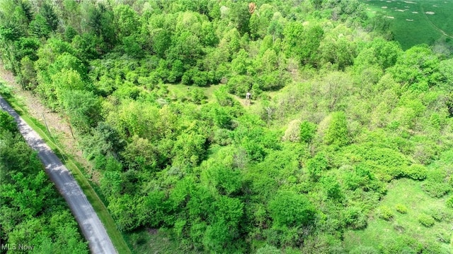 21639 Baptist Rd, Quaker City, OH 43773 - photo 27