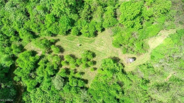21639 Baptist Rd, Quaker City, OH 43773 - photo 28