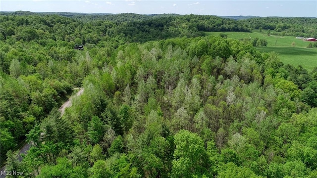 21639 Baptist Rd, Quaker City, OH 43773 - photo 29