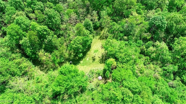 21639 Baptist Rd, Quaker City, OH 43773 - photo 36