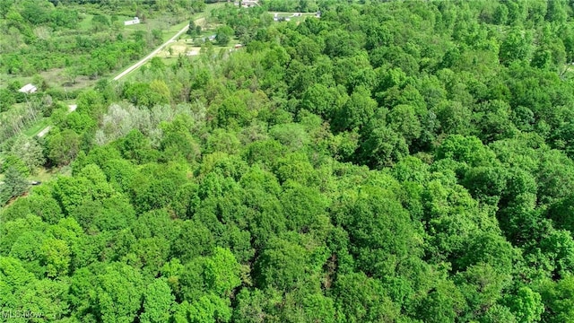 21639 Baptist Rd, Quaker City, OH 43773 - photo 37