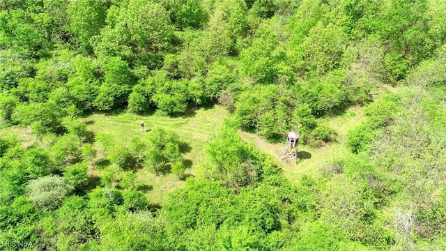 21639 Baptist Rd, Quaker City, OH 43773 - photo 41